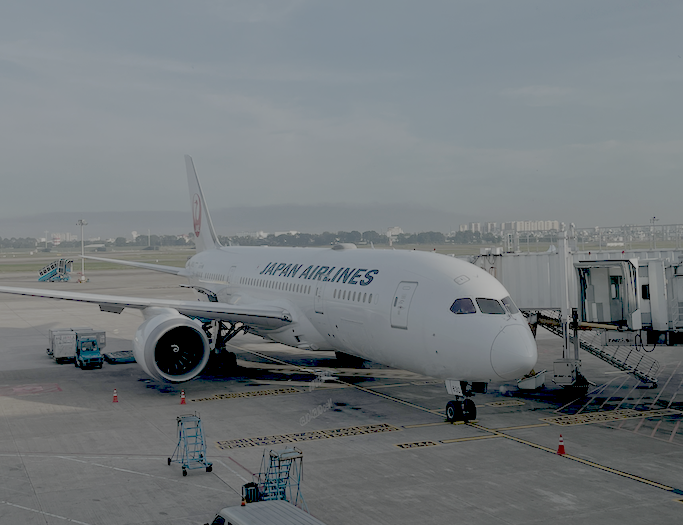 空港送迎サポートのアイコン